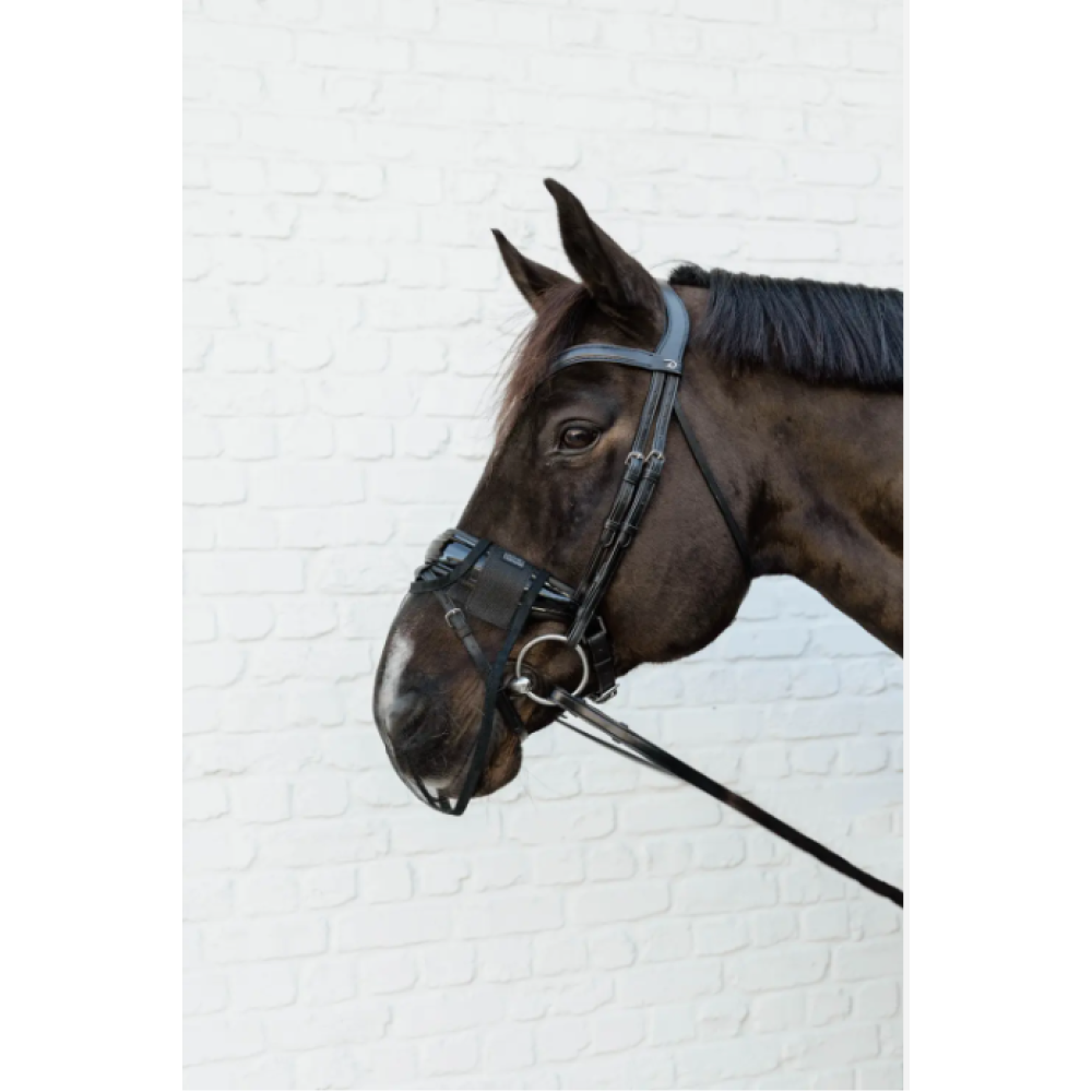 ANTI FLY NOSE NET KENTUCKY (Black)