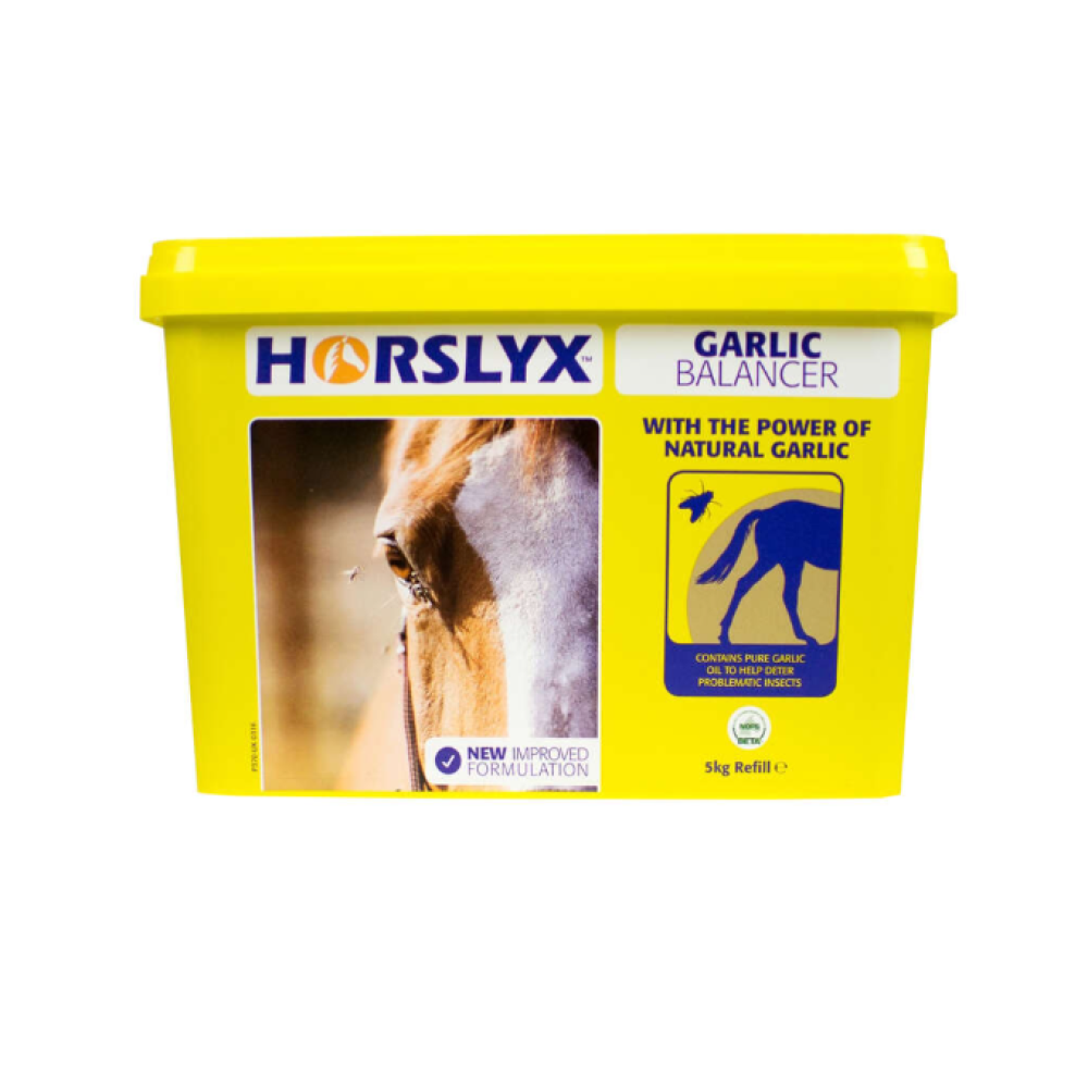 HORSE LICK HORSLYX GARLIC 5KG