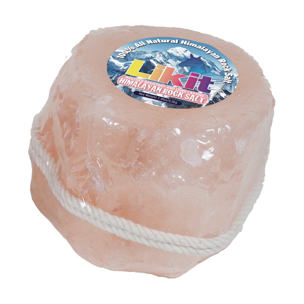 HIMALAJŲ DRUSKA SU VIRVE LIKIT 3,3KG