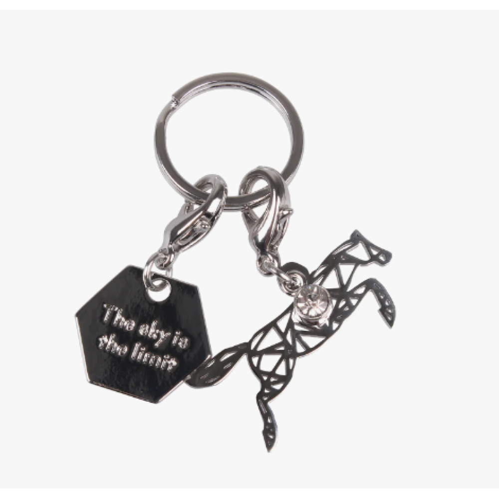 LAIMĖS TALISMANAS QHP JUMPING