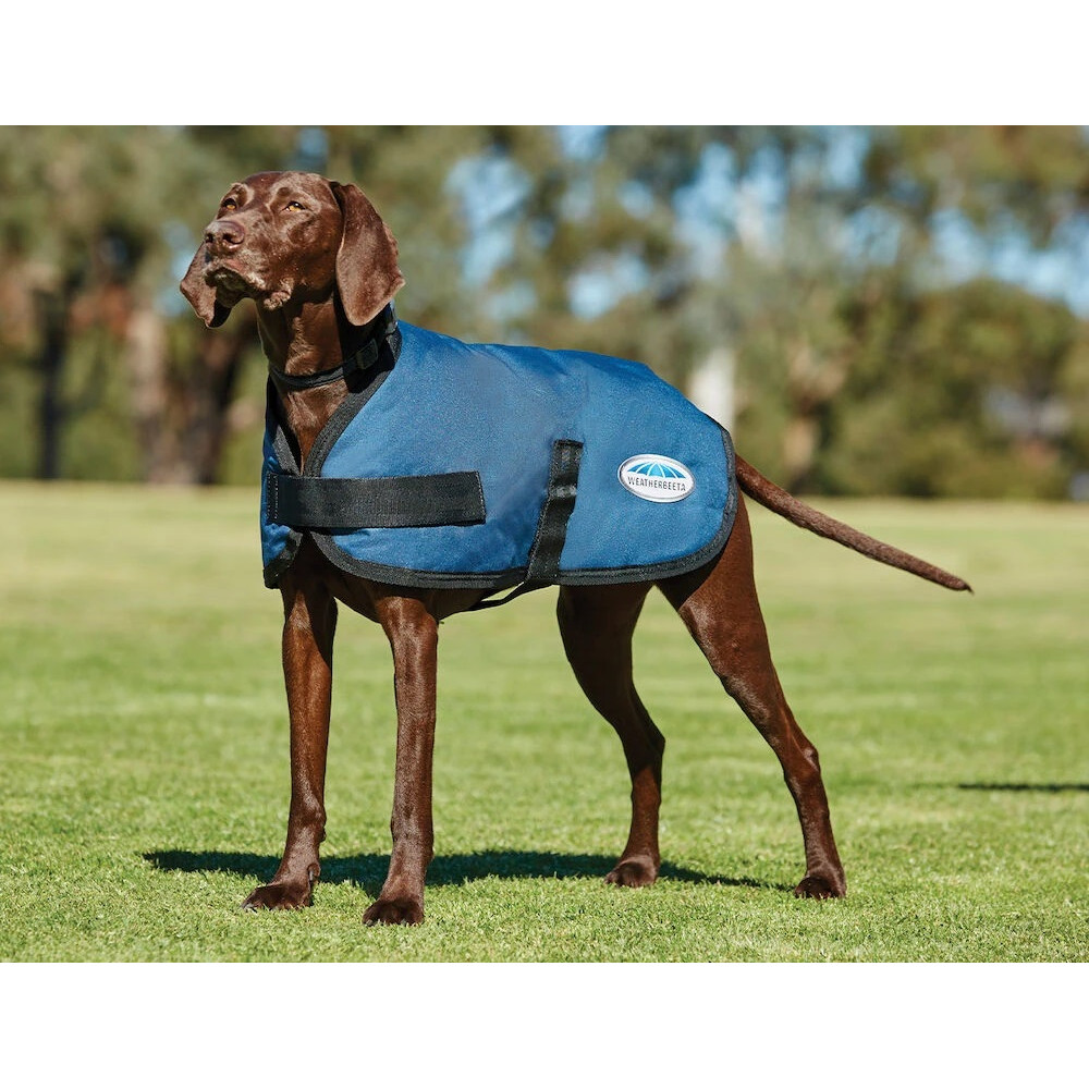 DOG COAT WB COMFITEC REFLECTIVE (dark blue)