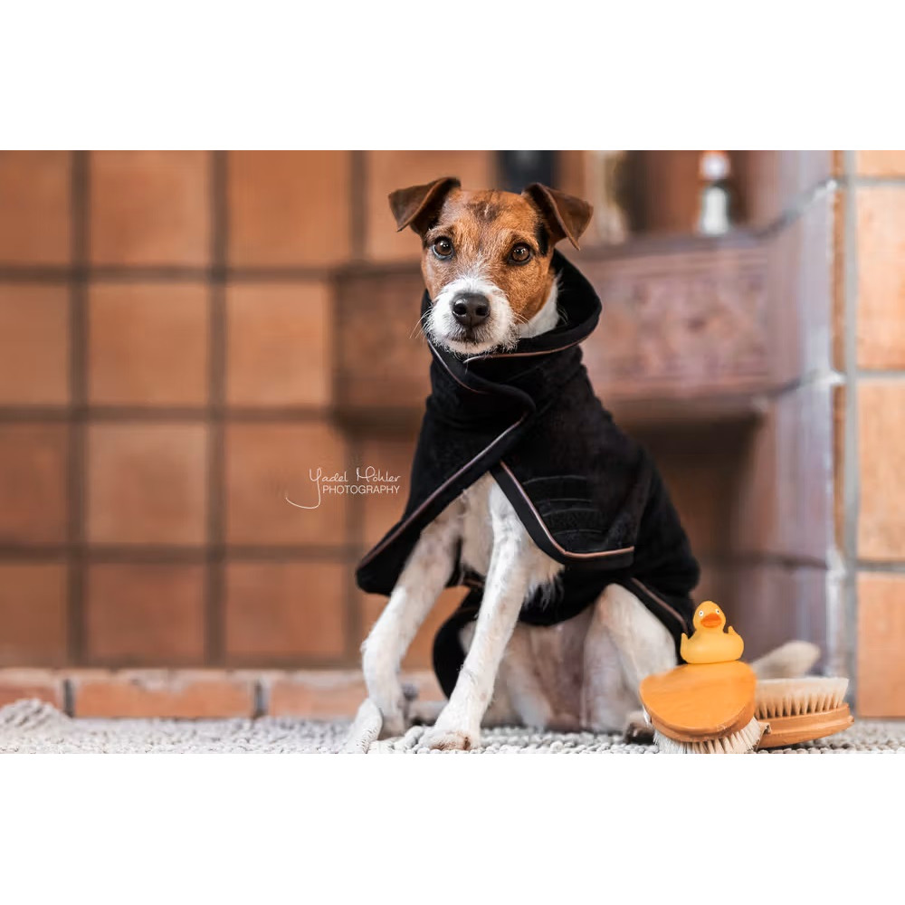 DOG COAT KENTUCKY TOWEL (black)