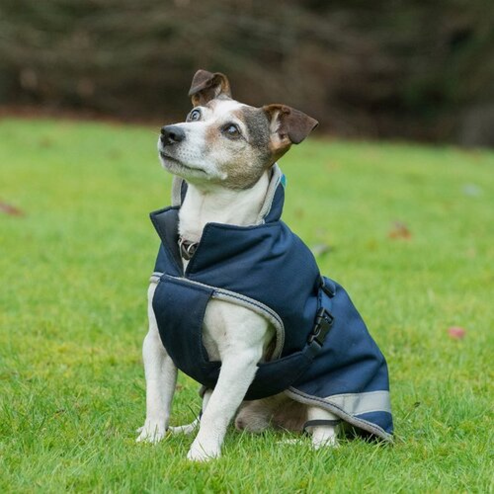 DOG COAT BUCAS FREEDOM 50gr (navy/silver)