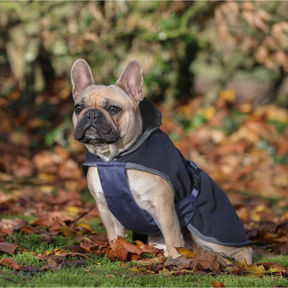 DOG COAT BUCAS SHOW-LINE (navy/silver)
