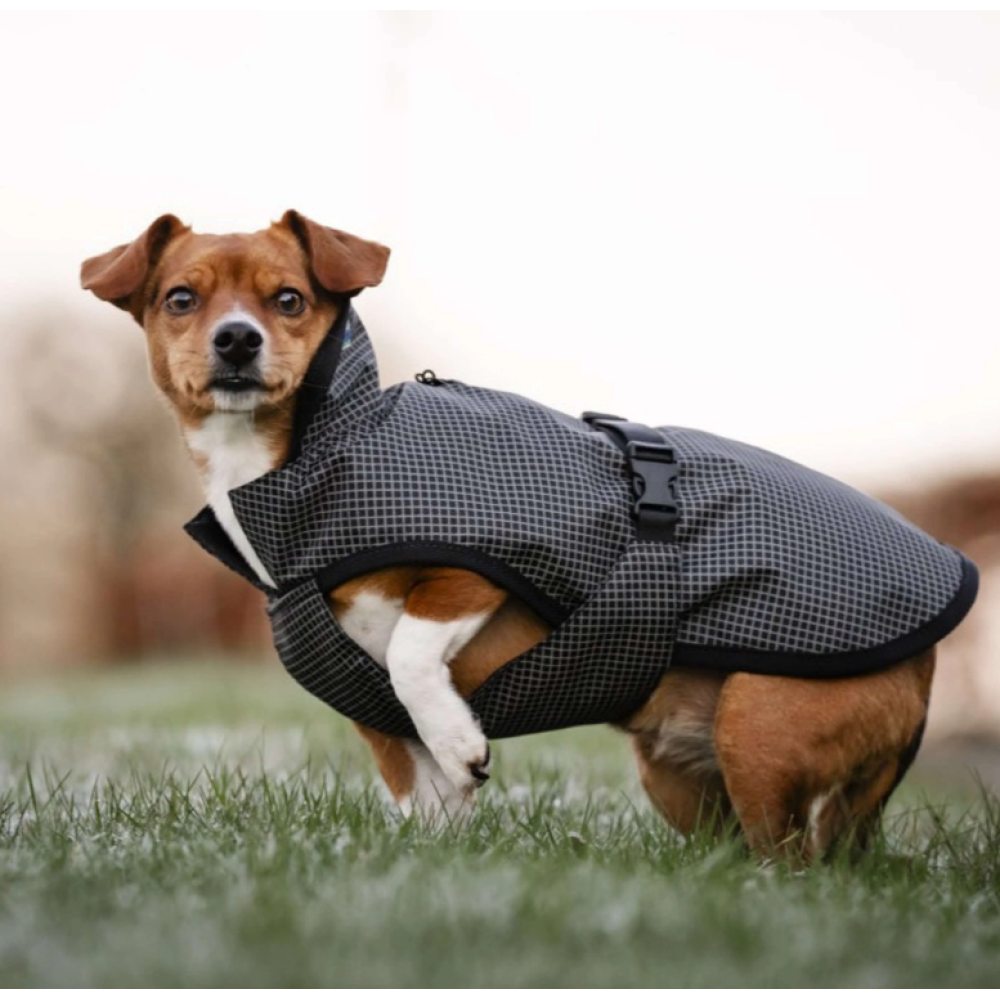 DOG COAT BUCAS REFLECTGLOW