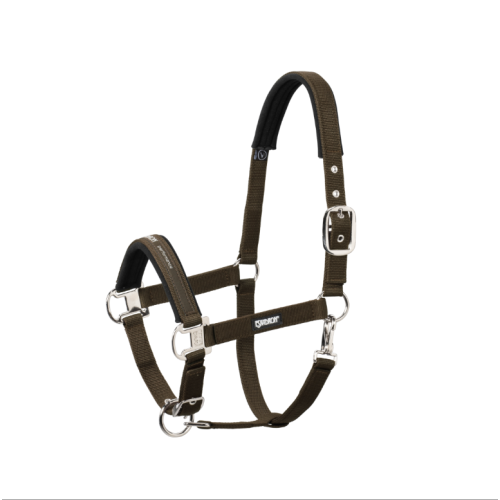 KANTARAS ESKADRON PIN BUCKLE (Ruda)