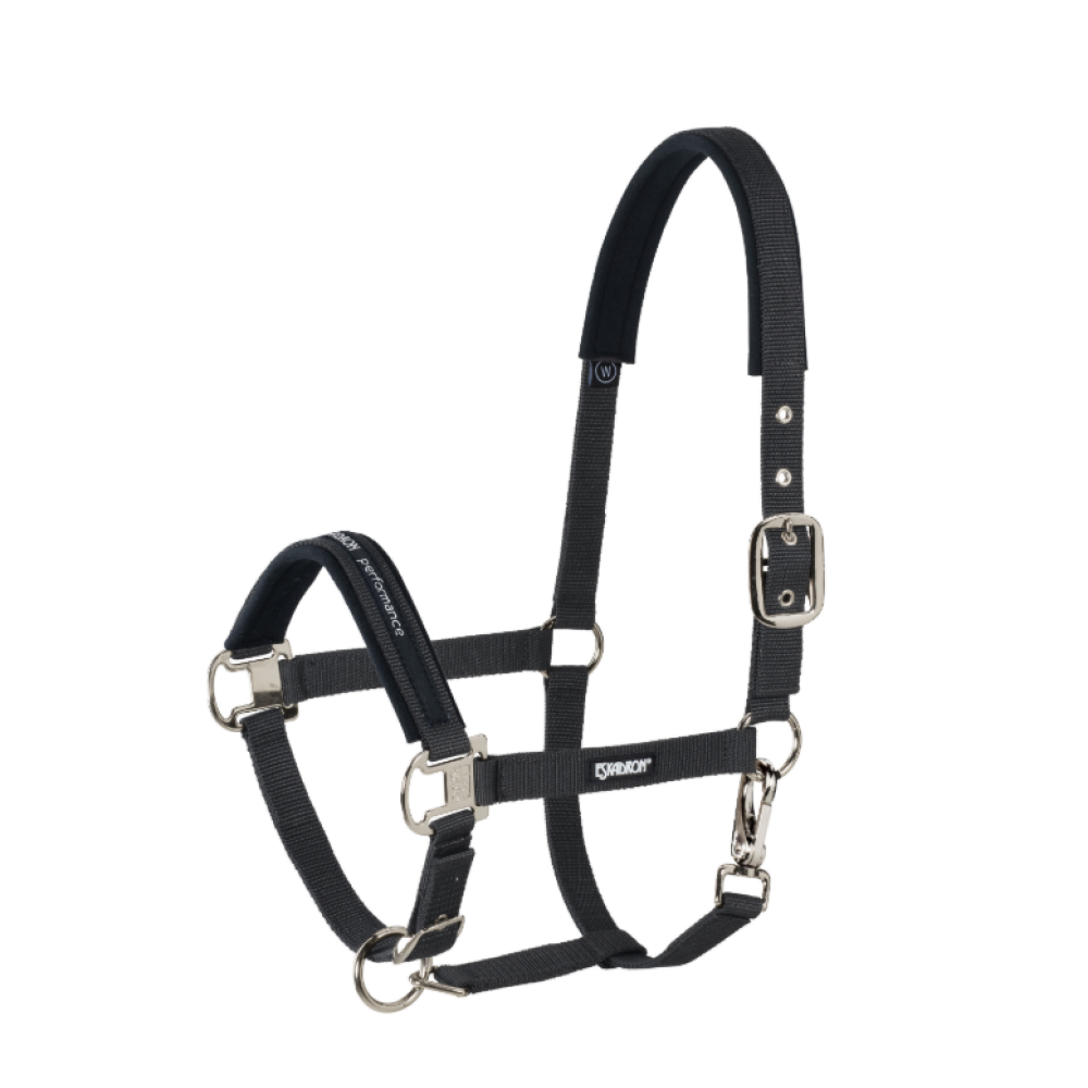 KANTARAS ESKADRON PIN BUCKLE (Juoda)