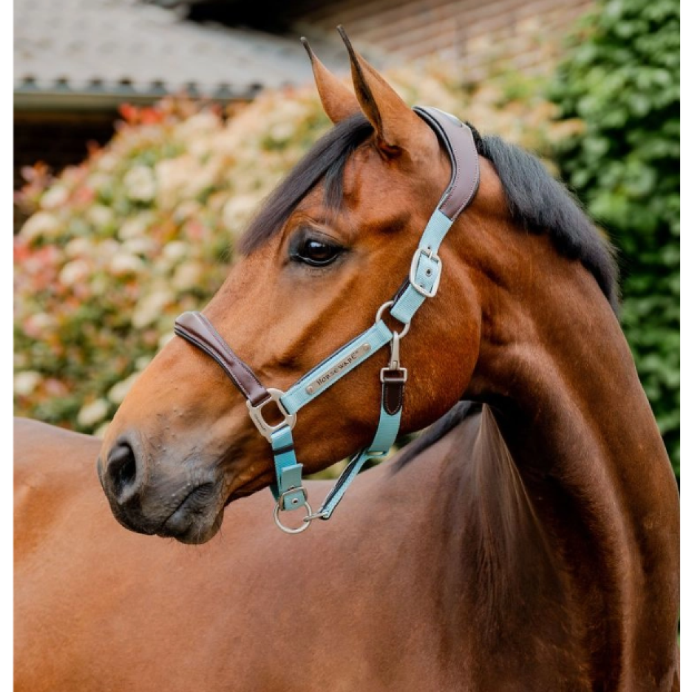 KANTARAS HORSEWARE SIGNATURE COMPETITION (Žydra)