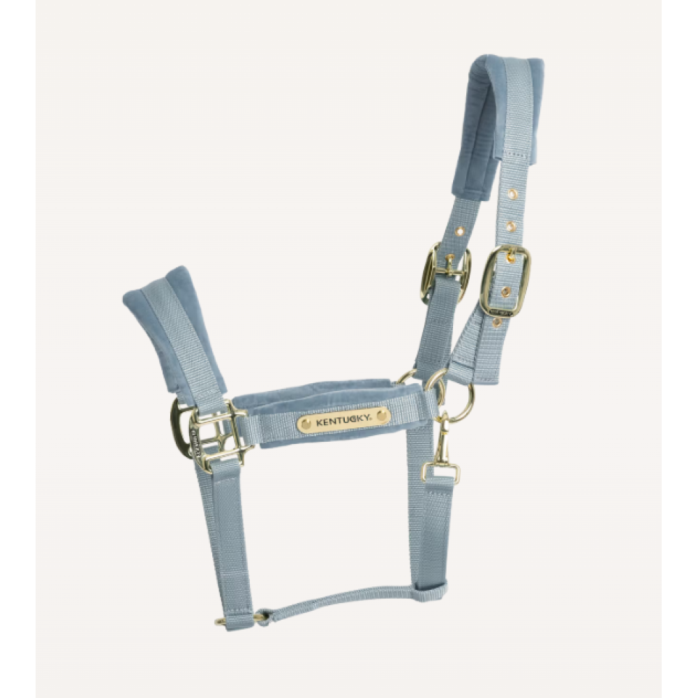 KANTARAS KENTUCKY VELVET (Light Blue)