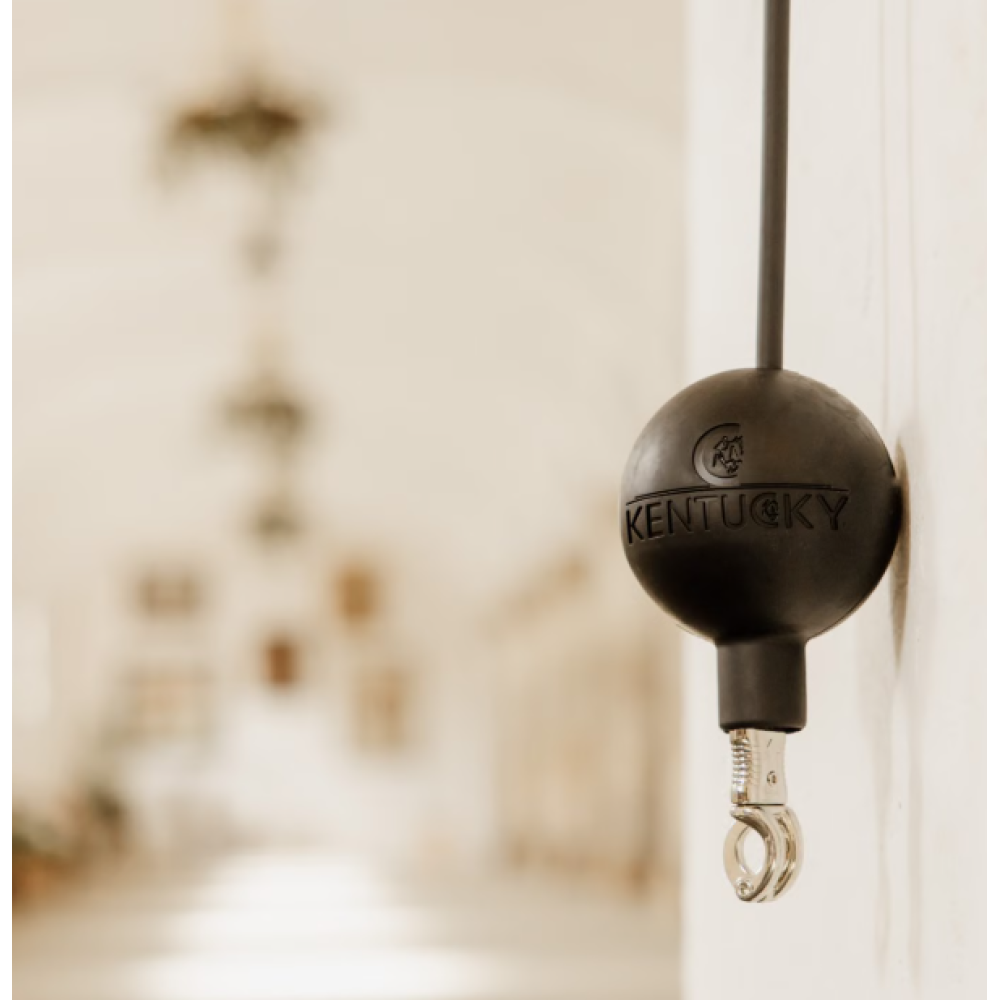 KENTUCKY RUBBER BALL PROTECTION WALL AND LEAD