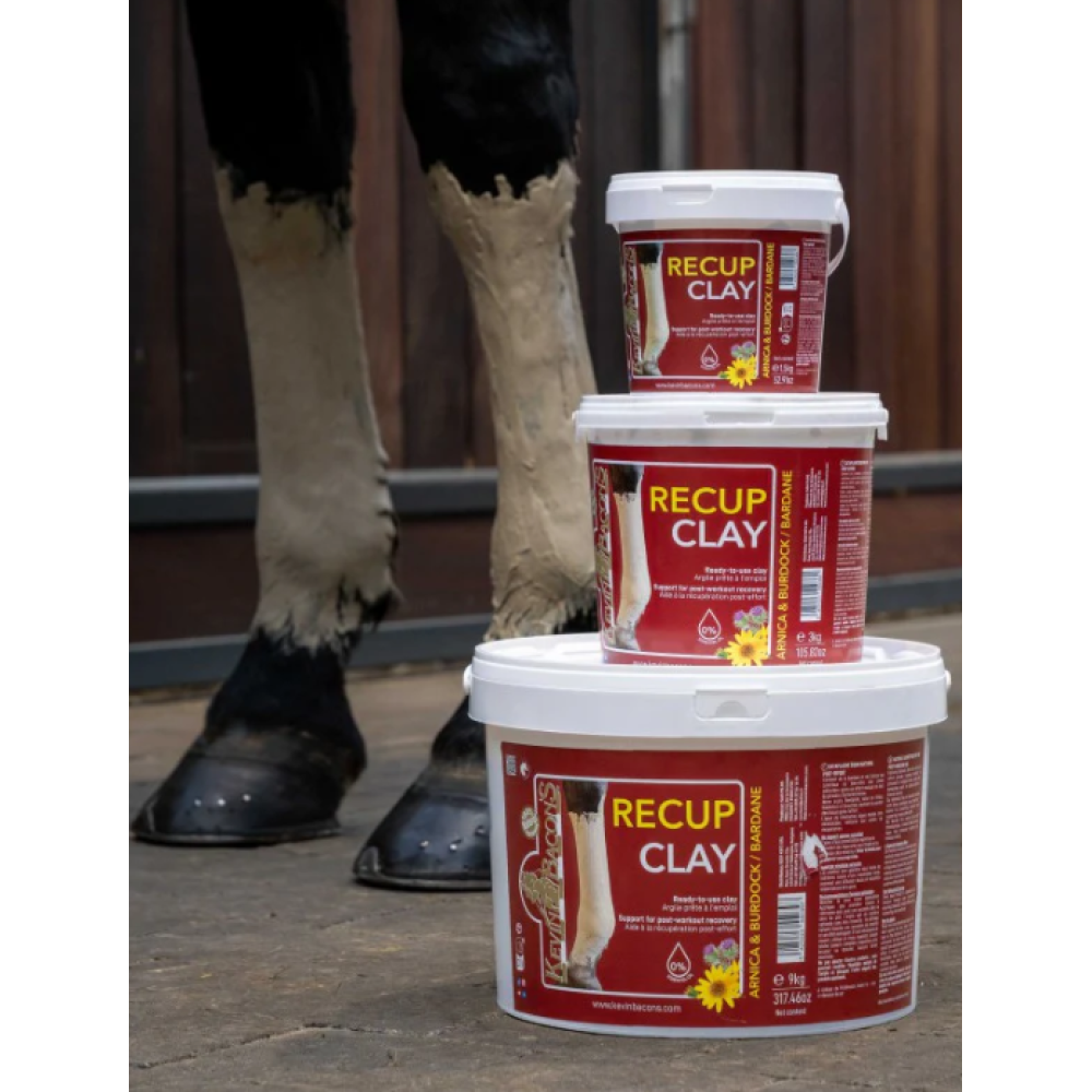MOLIS KEVIN BACONS RECUP CLAY
