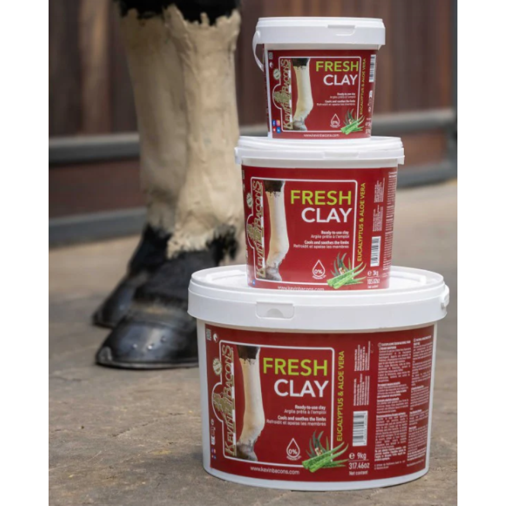 MOLIS KEVIN BACONS FRESH CLAY