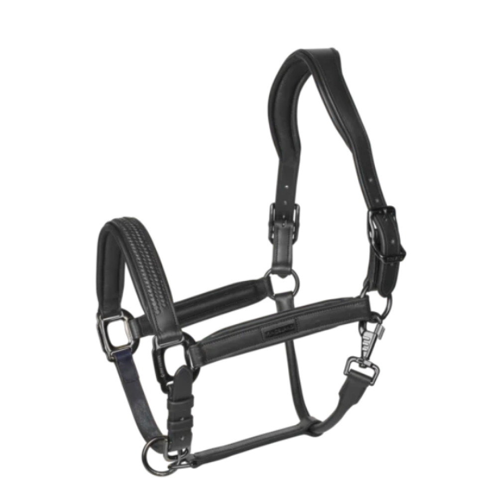 ODINIS KANTARAS KINGSLAND KLNEVILLE (Juoda)
