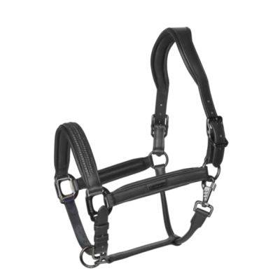 ODINIS KANTARAS KINGSLAND KLNEVILLE (Juoda)