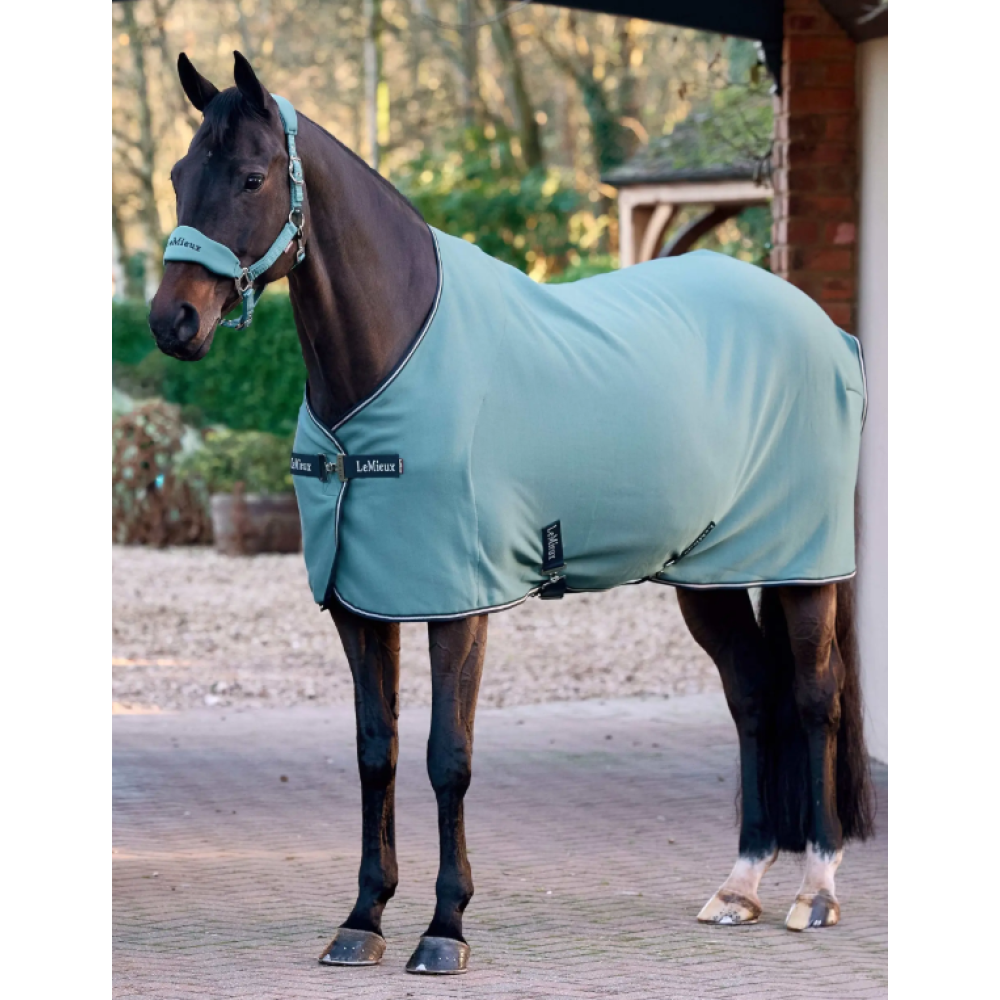 LEMIEUX ARIKA JERSEY-TEK RUG (Aloe)