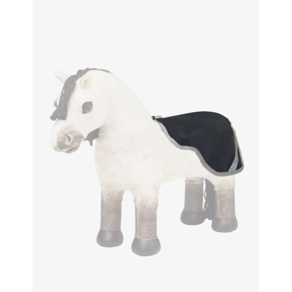LEMIEUX TOY PONY EXERCISE SHEET