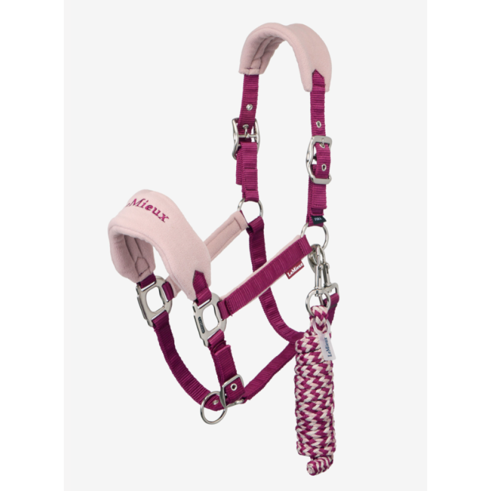 HEADCOLLAR LEMIEUX VOGUE (Blackberry)