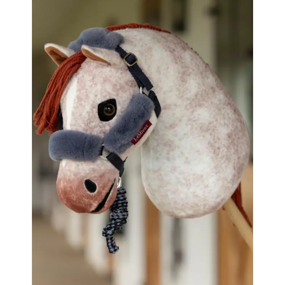ŽAISLINIS KANTARAS SU VIRVE HOBBY HORSE ARKLIUKUI COMFORT