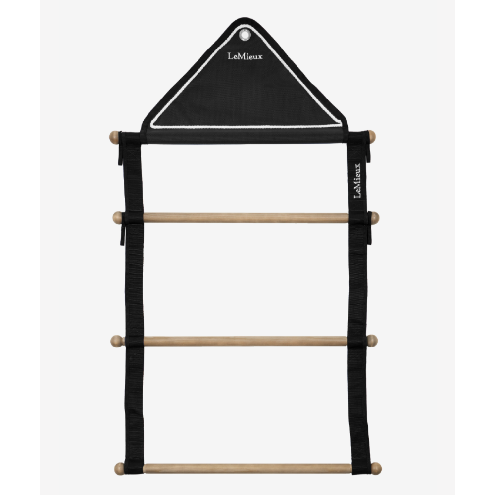 LEMIEUX SHOW RUG HANGING RACK (Black)