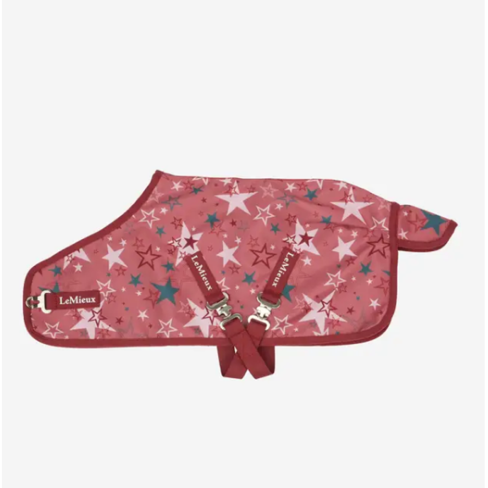 ŽAISLINLĖ GŪNIA LEMIEUX TOY PONY (Spiced Earth)