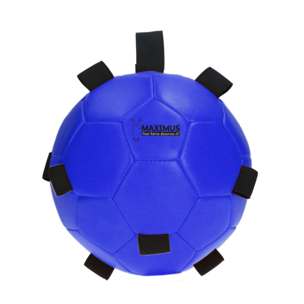 HORSE TOY MAXINUS FUN PLAY BALL BLUE