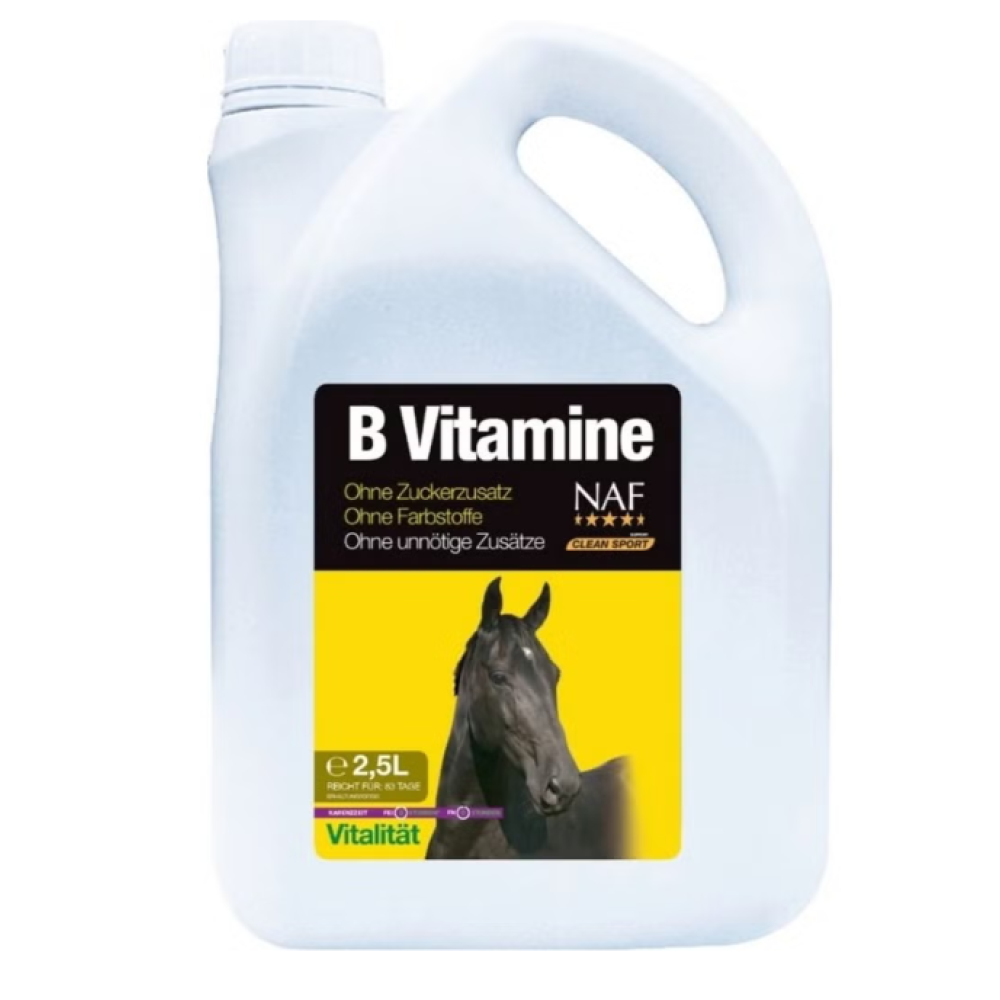 B GRUPĖS VITAMINŲ SKYSTAS PAPILDAS NAF 2.5L