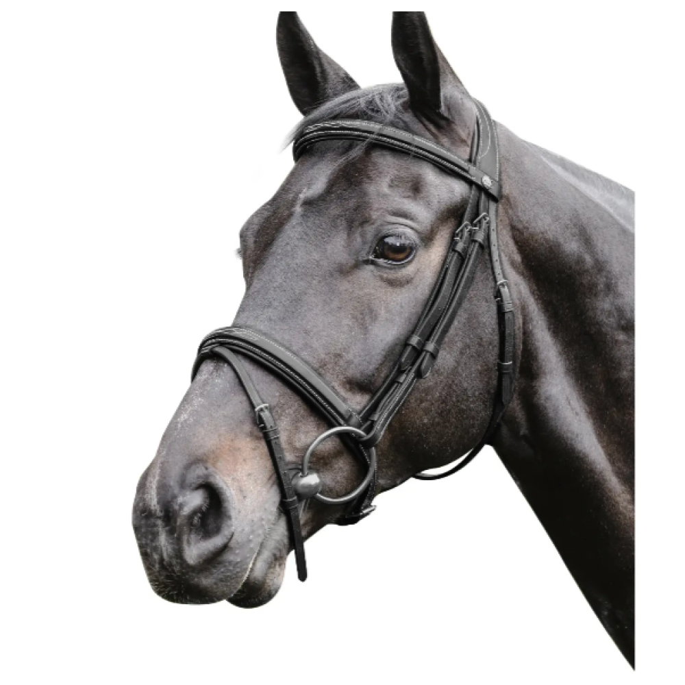 KAMANOS PRESTIGE LEATHER RAISED WITH STICHING 3E083 (Juoda) 