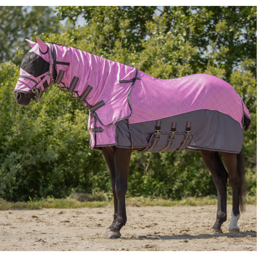 FLY RUG QHP WITH DETACHABLE NECK AND FLY MASK (Cheery Pink)