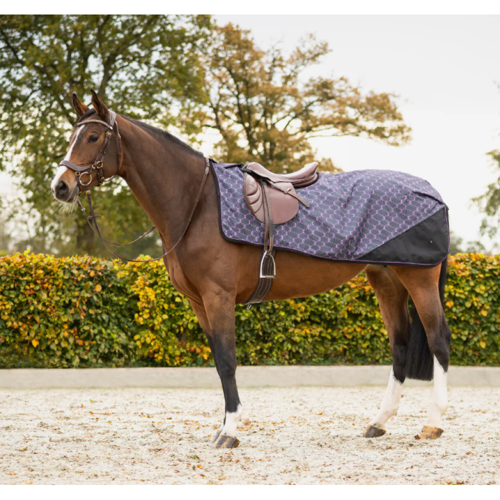 EXERCISE SHEET QHP TURNOUT 1200D FLEECE (Bouncing Bows)