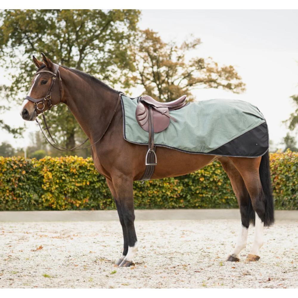 EXERCISE SHEET QHP TURNOUT 1200D FLEECE (Linear Motion)