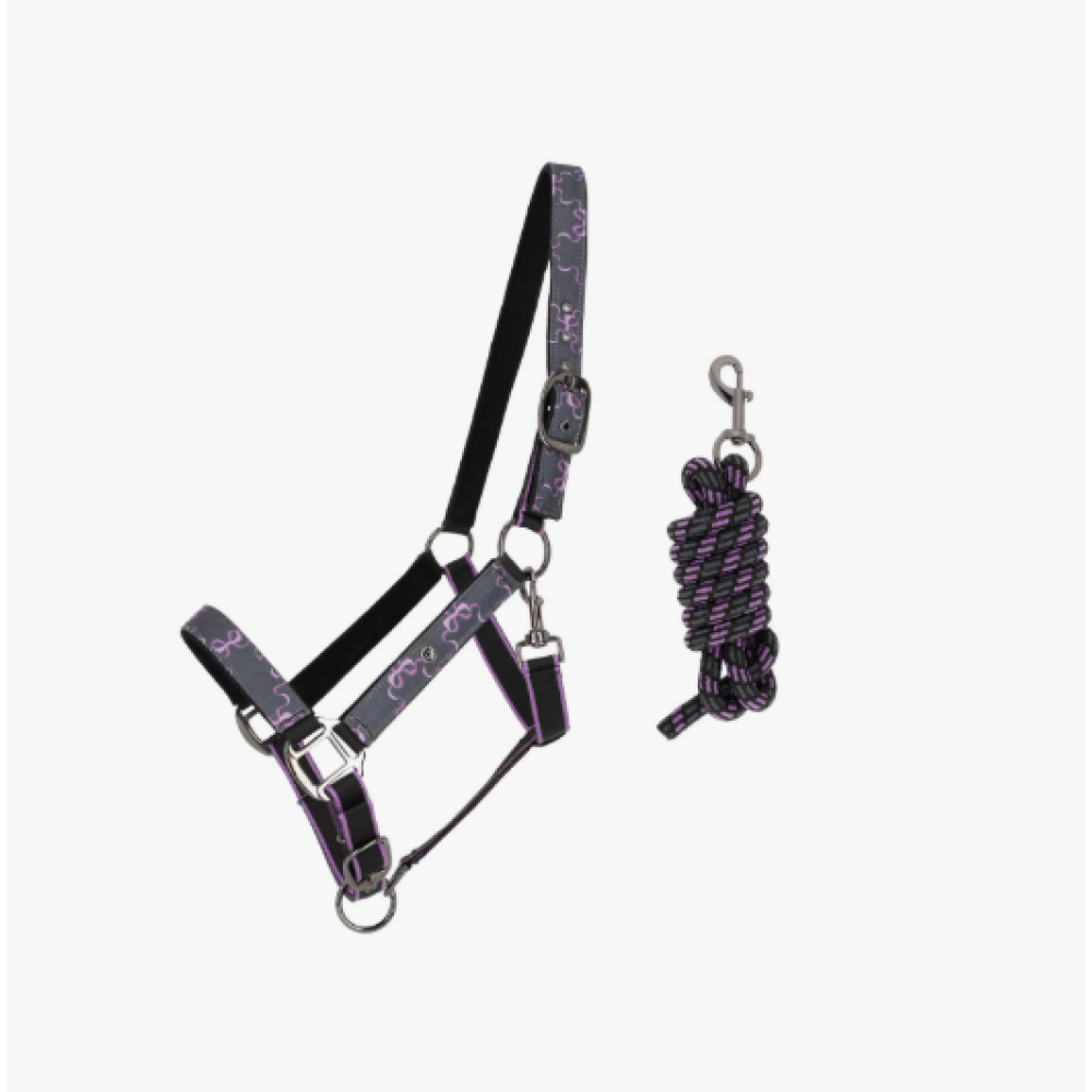 HALTER WITH ROPE QHP TURNOUT (Bouncing Bows)