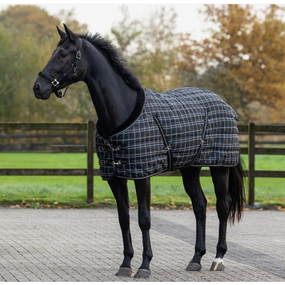 QHP STABLE RUG LUXURY 250G (Black Check)