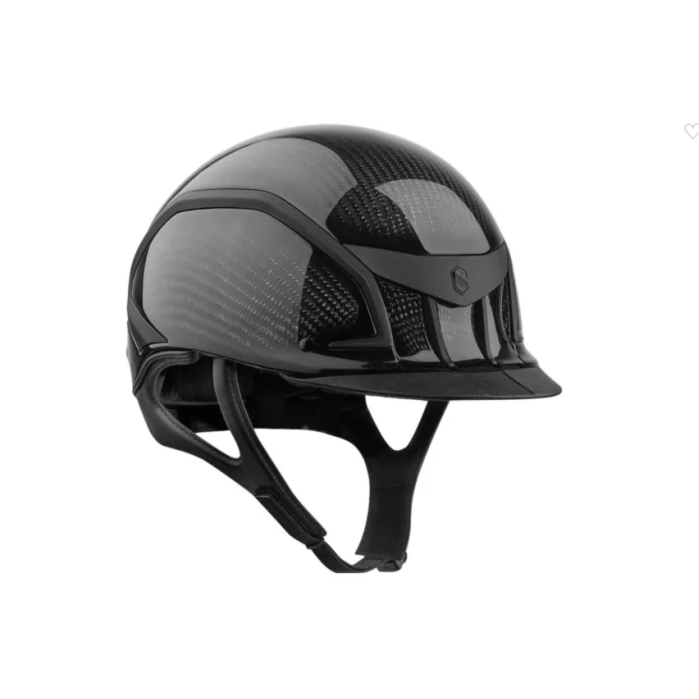 ŠALMAS SAMSHIELD XJ CARBON GLOSSY DARK LINE 
