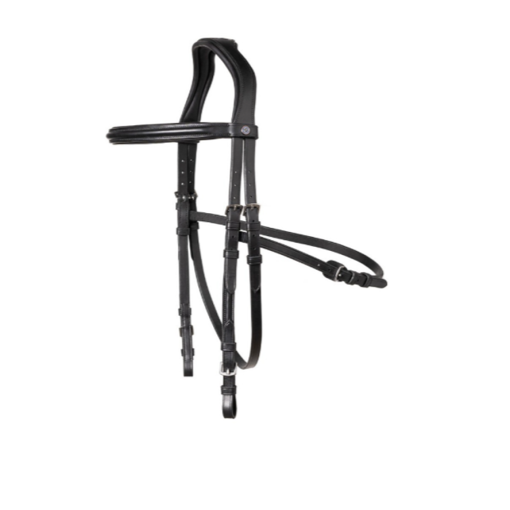 KAMANOS TRUST HICKSTEAD HACKAMORE (Juoda)