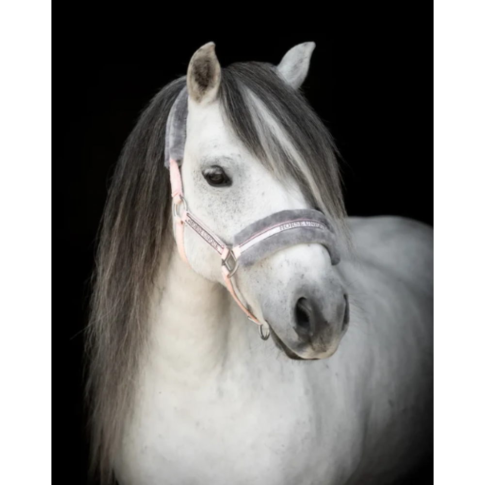 KANTARAS GRIMMA HORSE UNIQUE (Pink)