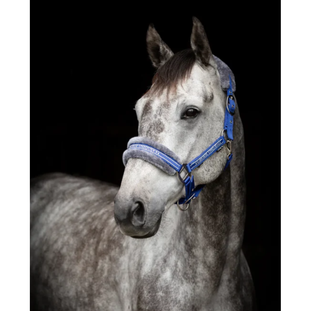 KANTARAS GRIMMA HORSE UNIQUE (Royal Blue)