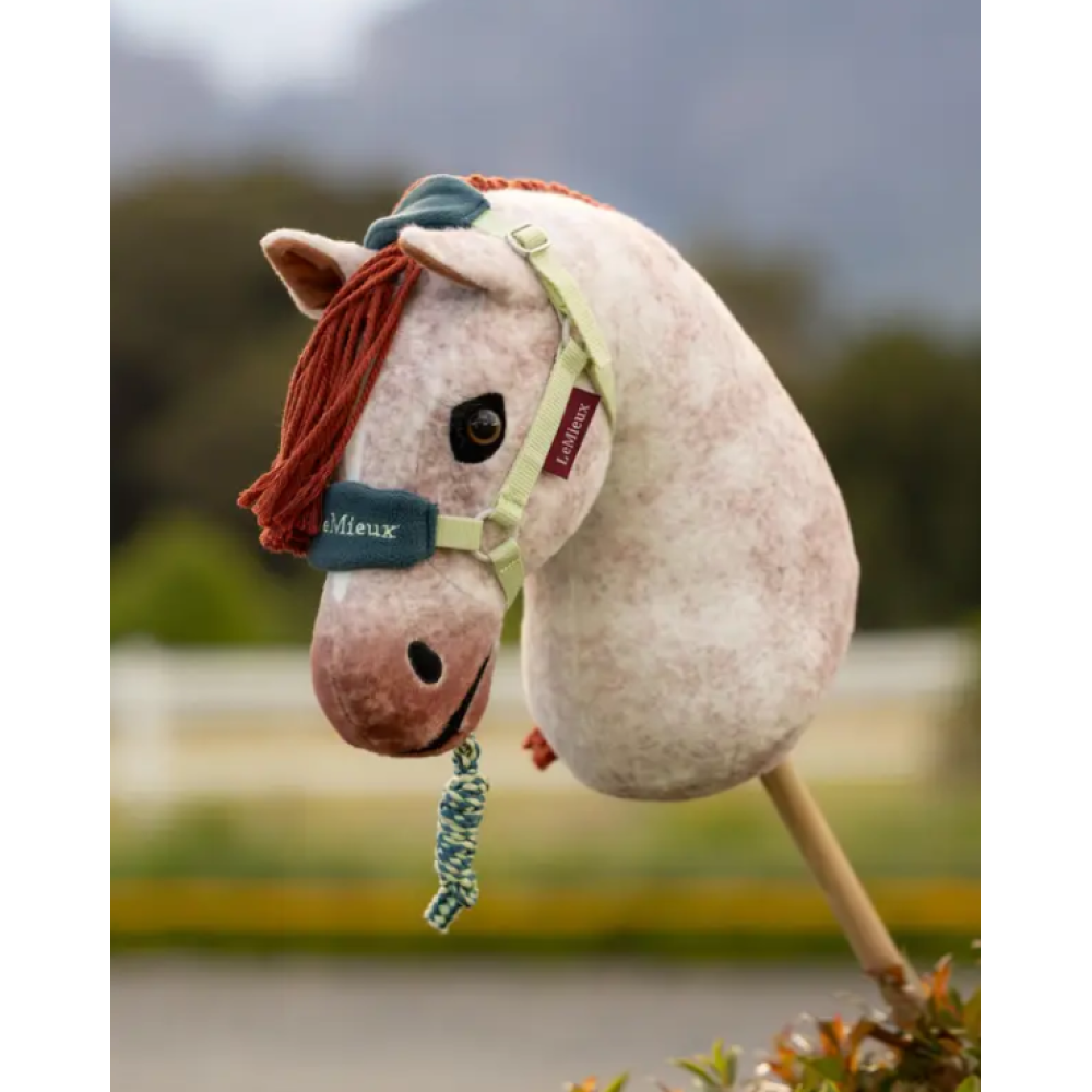 ŽAISLINIS KANTARAS SU VIRVE HOBBY HORSE ARKLIUKUI (Macaron)
