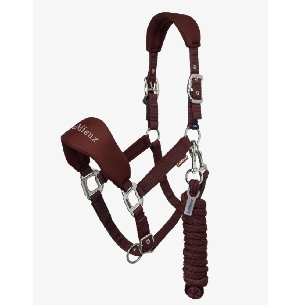 KANTARAS SU VIRVE LEMIEUX BREAKAWAY VOGUE (Bramble)
