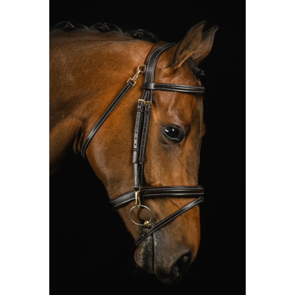 KAMANOS MRS. ROS ORTEGA BRIDLE (Ruda)