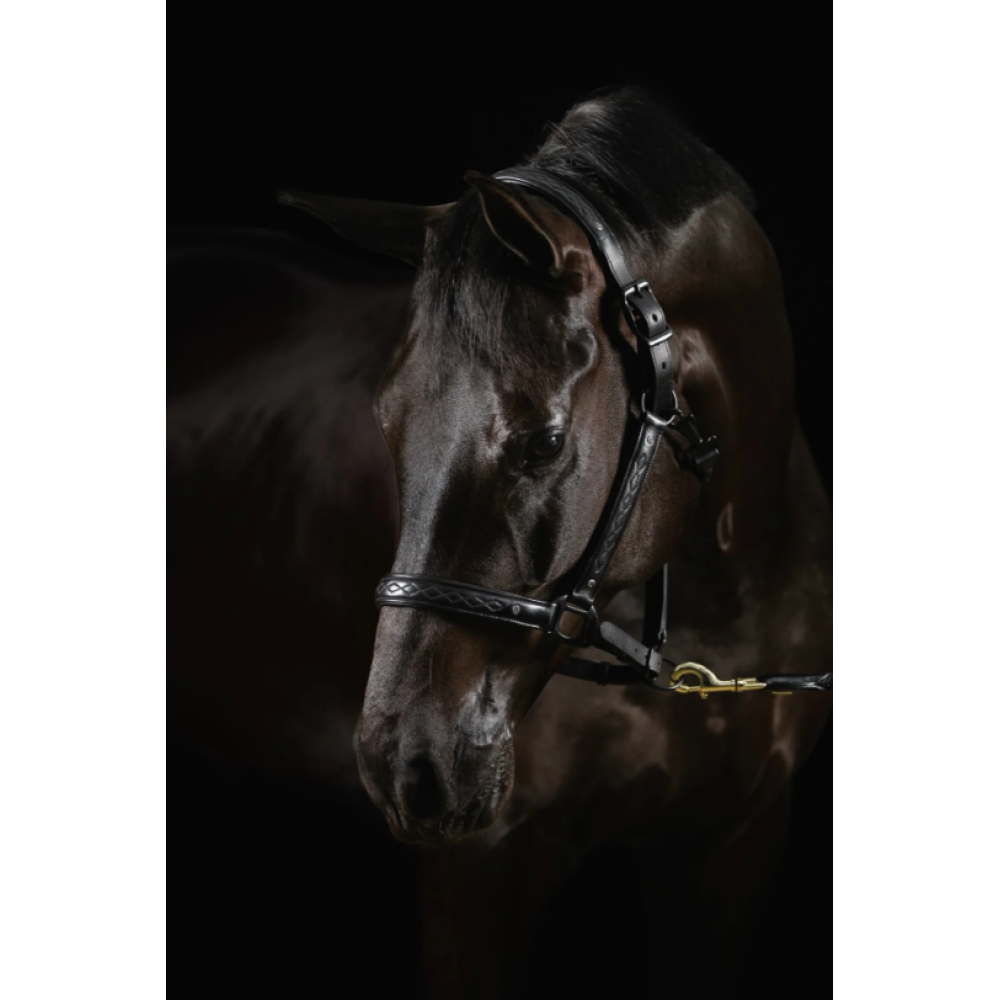 KANTARAS MRS.ROS LEATHER HALTER DIAMOND DELUXE MOVIE STAR