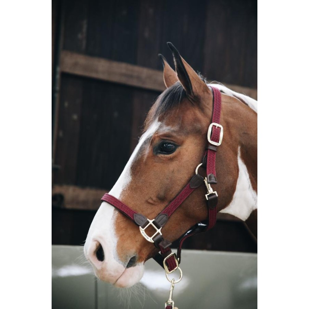 KANTARAS PLAITED KENTUCKY (Mėlyna)-7