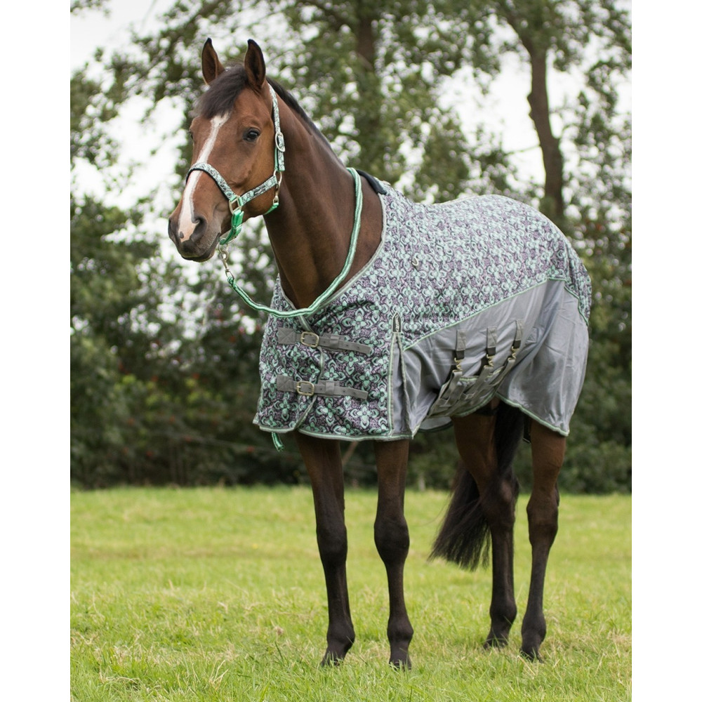 PONY GŪNIA QHP 6254 ANTI-FLY (Pilka/žalia)-2