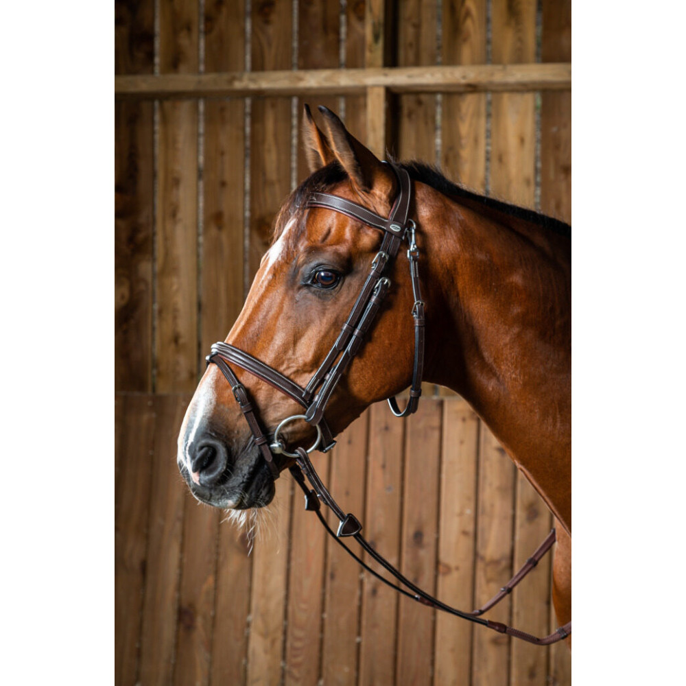 KAMANOS DYON FLASH NOSEBAND WITH SNAP HOOK (Ruda)-4