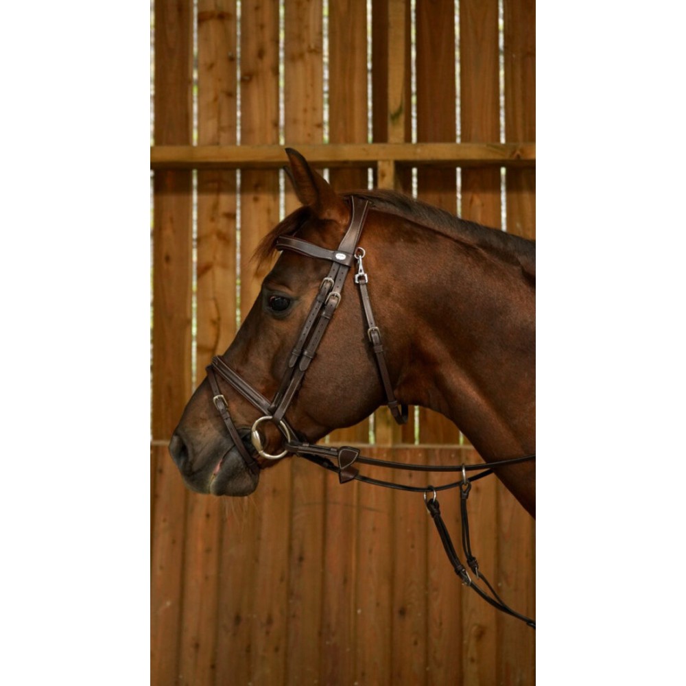 KAMANOS DYON FLASH NOSEBAND WITH SNAP HOOK (Ruda)-4
