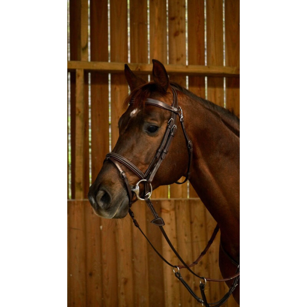 KAMANOS DYON FLASH NOSEBAND WITH SNAP HOOK (Ruda)-4