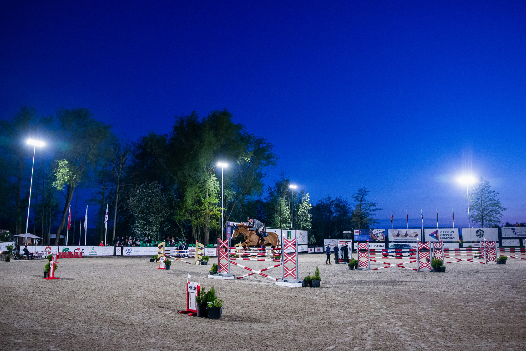 horse image