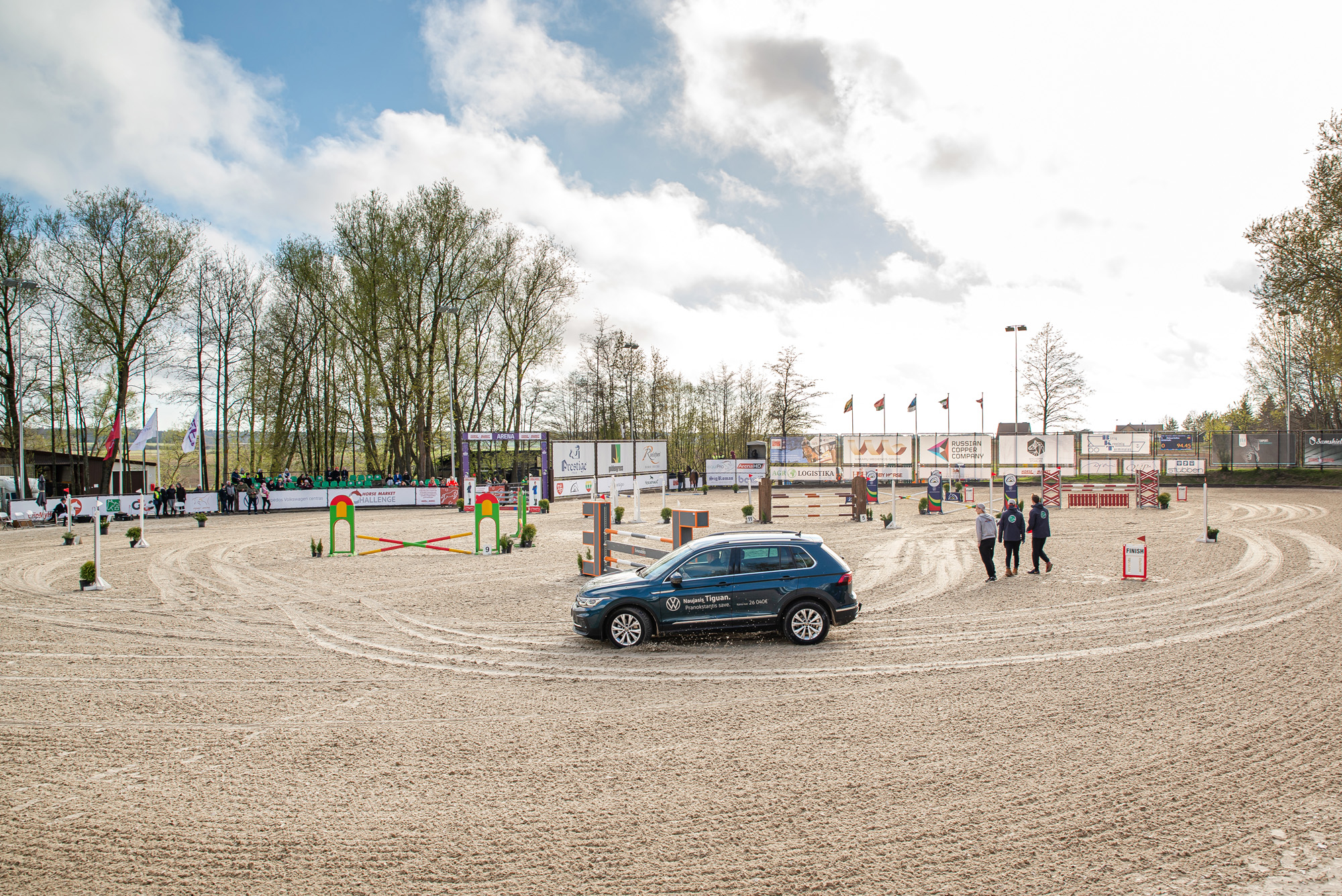 horse image